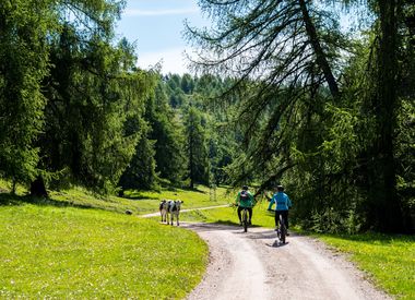 bicicletta bicicletta di montagna alto adige montagne campeggio Foiana