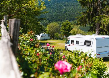 Natur Rosen Sommer  Wohnmobil Campeggio Foiana Lana