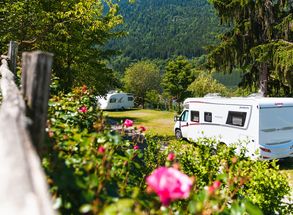 Natur Rosen Sommer  Wohnmobil Campeggio Foiana Lana