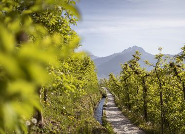 Walk Marling waalweg path hiking South Tyrol Camping Völlan