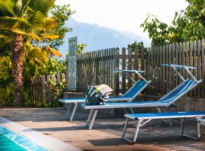 outdoor pool palm tree deck chair summer camping Völlan