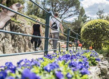 Tappeinerweg Meran Südtirol Spazieren Promenade Camping Völlan