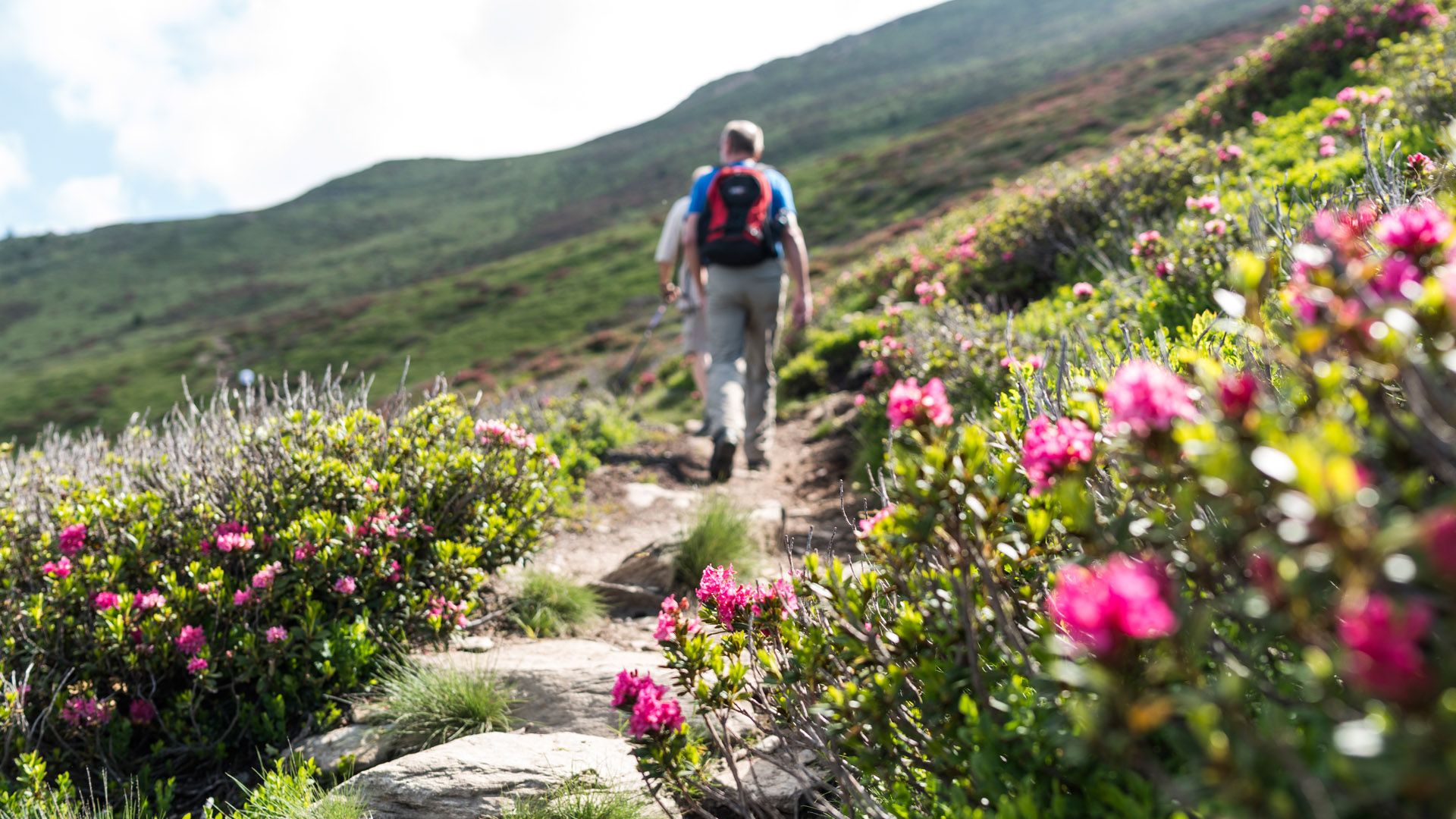 Camping Völlan Ausgangspunkt Wandern Südtirol Berge