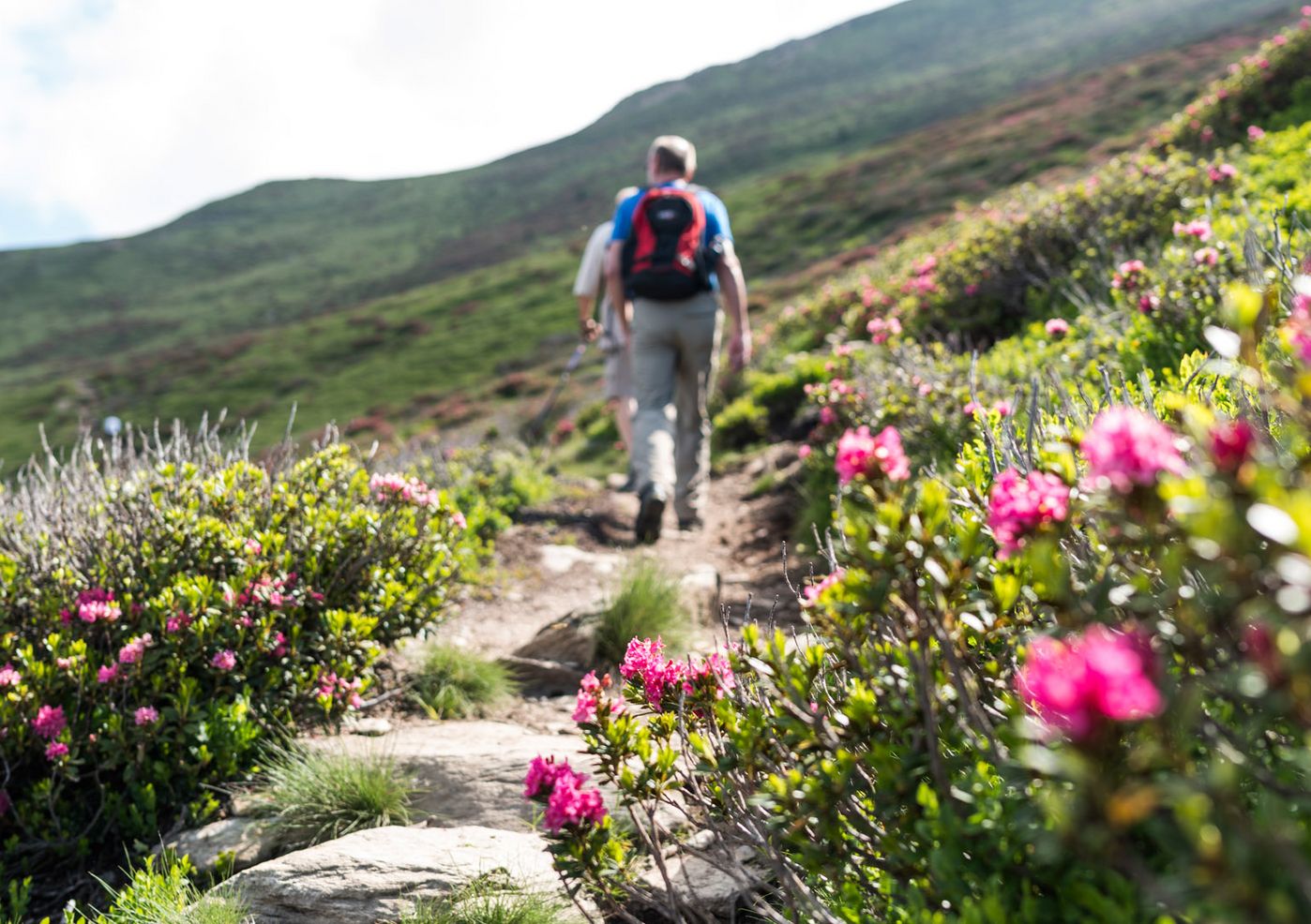 Camping Völlan ist ein beliebter Ausgangspunkt für Wanderer Camping Völlan Ausgangspunkt Wandern Südtirol Berge