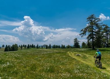 Camping völlan lana ciclismo mountain bike vacanze alto adige montagne